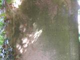 image of grave number 768748